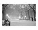 snow storm Central park