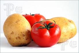 tomato and potato