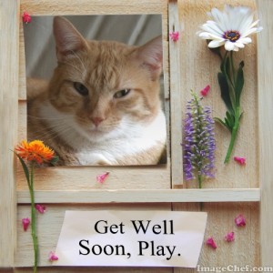 Get well soon Play 2