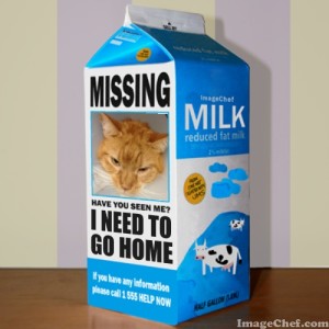 Missing Milk