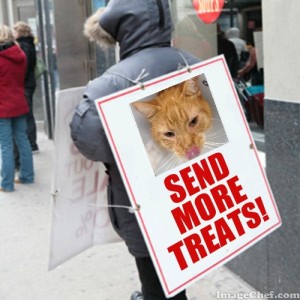 Sandwich board treats